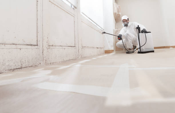 24/7 Emergency Mold Remediation experts in Algonquin, MD