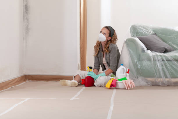 Reliable Mold Remediation contractor in Algonquin, MD by Cheap Mold Removal