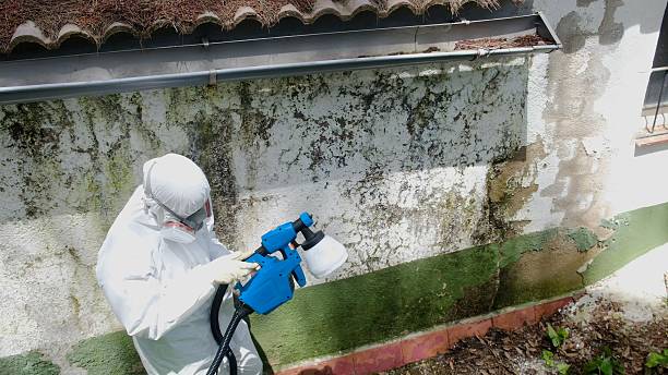 Trusted Mold Remediation service in Algonquin, MD - Cheap Mold Removal